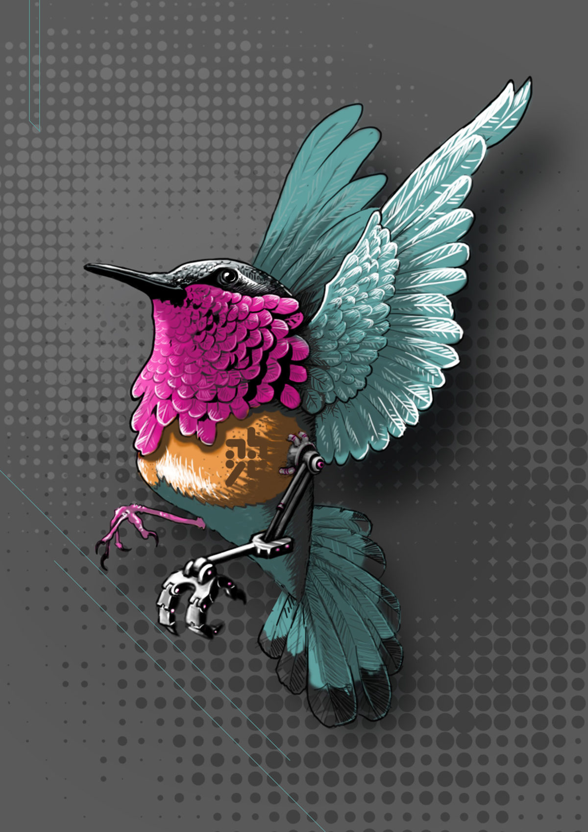 abys-illustration -digital- streetart lyon ebreed colibri