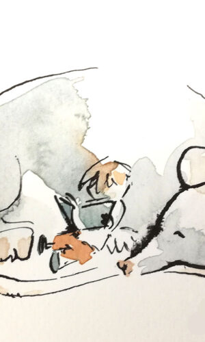 abys - graphiste - da lyon - illustration jeunesse