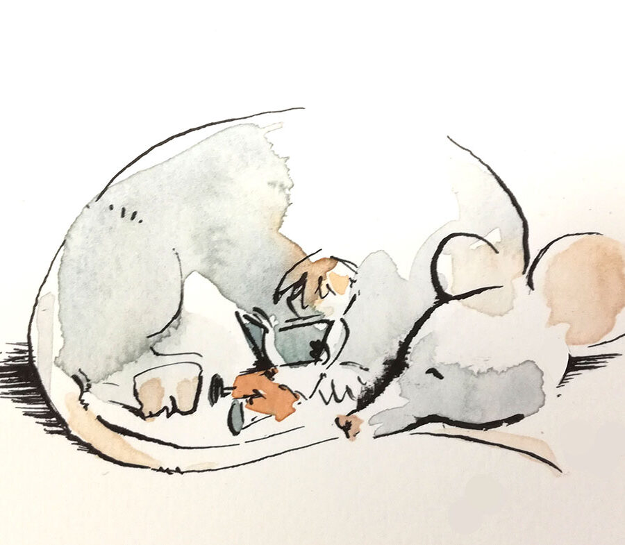 abys - graphiste - da lyon - illustration jeunesse