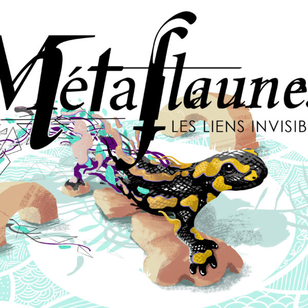 Métaflaunes illustrations – expo sofffa lyon