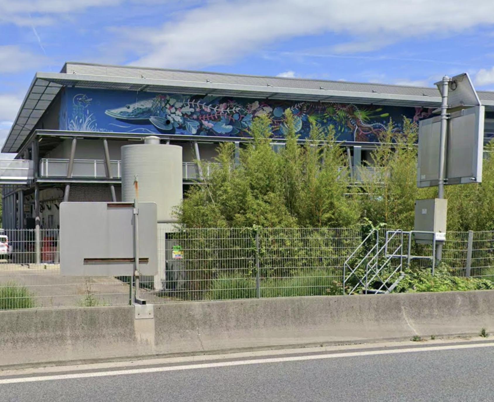 Screenshot fresque peripherique lyon poisson